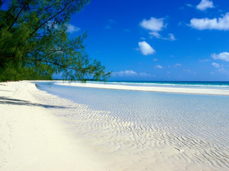 Name:  bahamas-white-sand.jpg
Views: 1775
Size:  195.4 KB