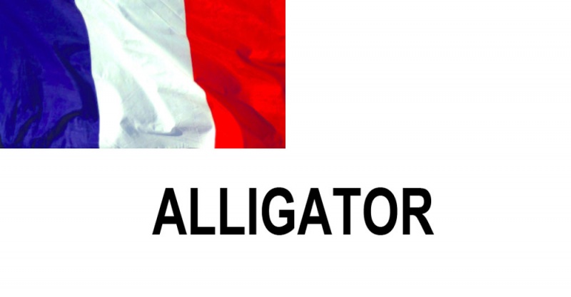 Name:  ALLIGATOR.jpg
Views: 832
Size:  45.1 KB