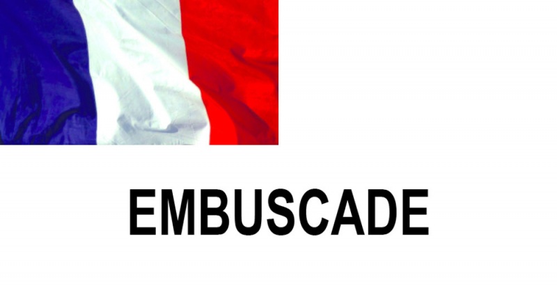 Name:  EMBUSCADE.jpg
Views: 933
Size:  46.8 KB