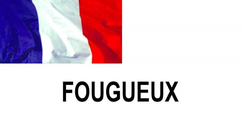 Name:  FOUGUEUX.jpg
Views: 1005
Size:  45.2 KB