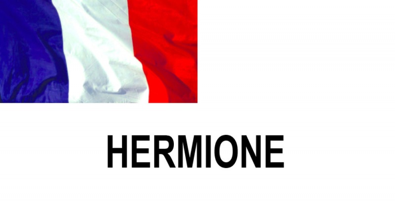 Name:  HERMIONE.jpg
Views: 940
Size:  44.3 KB