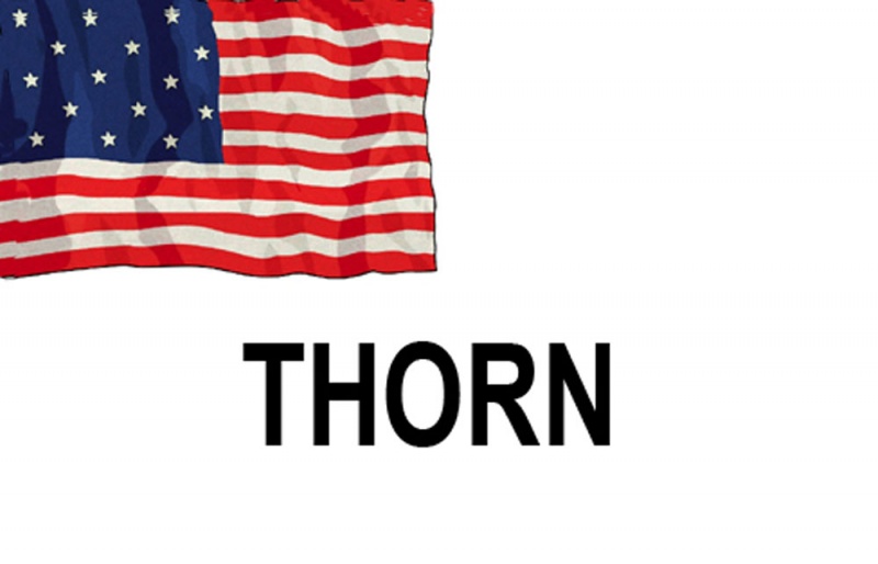 Name:  THORN.jpg
Views: 823
Size:  61.2 KB