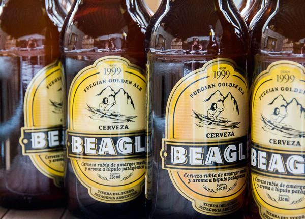 Name:  Beagle-Beer.jpg
Views: 6065
Size:  85.9 KB