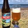 bach brewing driftwood