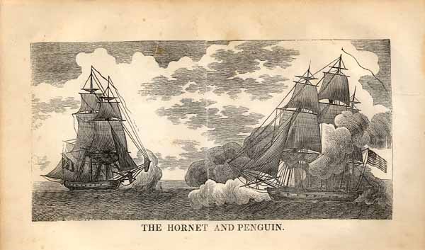 Name:  The_hornet_and_penguin.jpg
Views: 86
Size:  38.9 KB