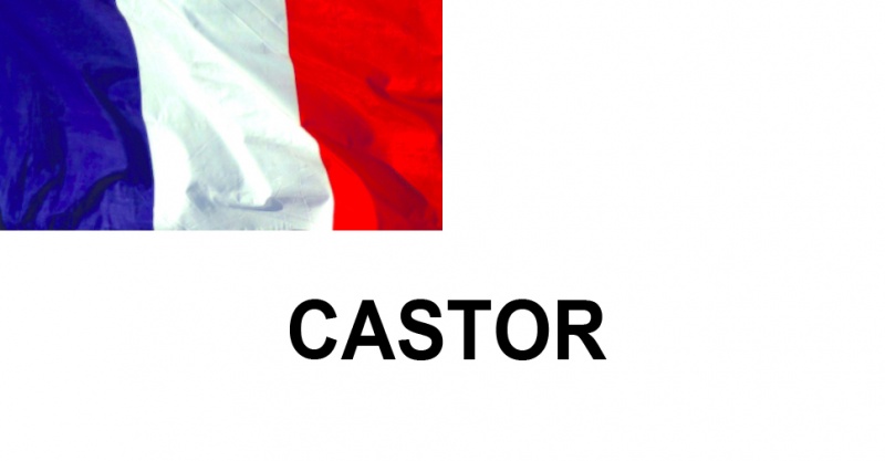 Name:  CASTOR.jpg
Views: 309
Size:  43.1 KB