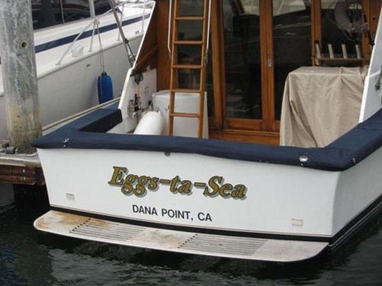 Name:  b94e487a3402c88e0fa5d1dc09403410--boat-humor-funny-boat-names.jpg
Views: 1367
Size:  38.9 KB