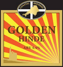 Name:  golden hind.jpg
Views: 1037
Size:  13.5 KB