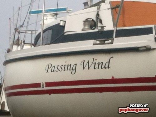 Name:  256b29cbbf8f0a3b4bb1531a3a53a4a0--best-boat-names-funny-boat-names.jpg
Views: 1746
Size:  30.4 KB