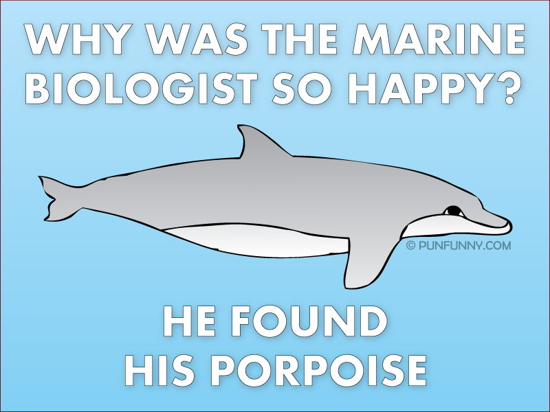 Name:  found_his_porpoise_pun.jpg
Views: 1979
Size:  81.8 KB