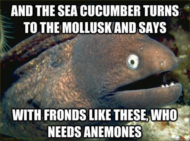 Name:  funny_eel_memes_640_14.jpg
Views: 1263
Size:  63.9 KB