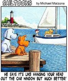 Name:  2564ca95148d8f1f64cea13b8ace528f--i-love-dogs-sailing.jpg
Views: 2440
Size:  21.7 KB