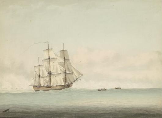Name:  HMS_Endeavour_off_the_coast_of_New_Holland,_by_Samuel_Atkins_c.1794.jpg
Views: 953
Size:  14.4 KB
