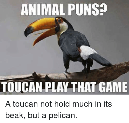 Name:  animal-puns-toucan-play-that-game-a-toucan-not-hold-31935065.png
Views: 10587
Size:  96.1 KB