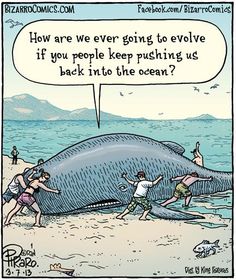 Name:  b6b26c502f98478b976a5de317d12061--bizarro-comic-the-ocean.jpg
Views: 2540
Size:  23.5 KB