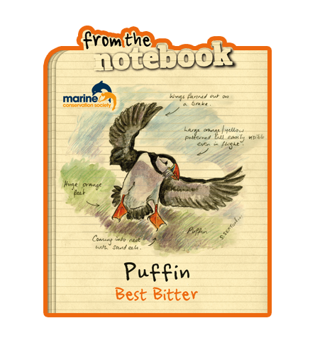 Name:  puffin_600x600.png
Views: 6028
Size:  280.6 KB