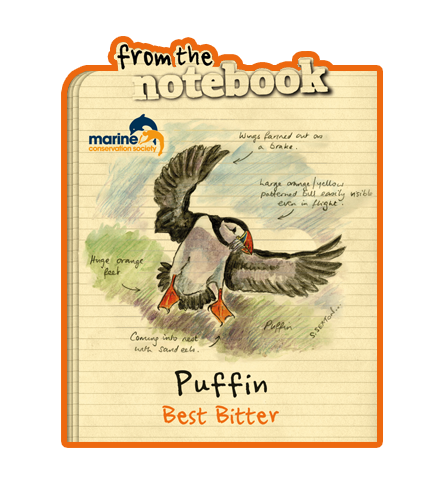 Name:  puffin_600x600.png
Views: 5915
Size:  280.6 KB