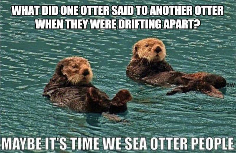 Name:  This-Funny-Sea-Otters-Joke0173681421471509383.JPG
Views: 13125
Size:  112.4 KB