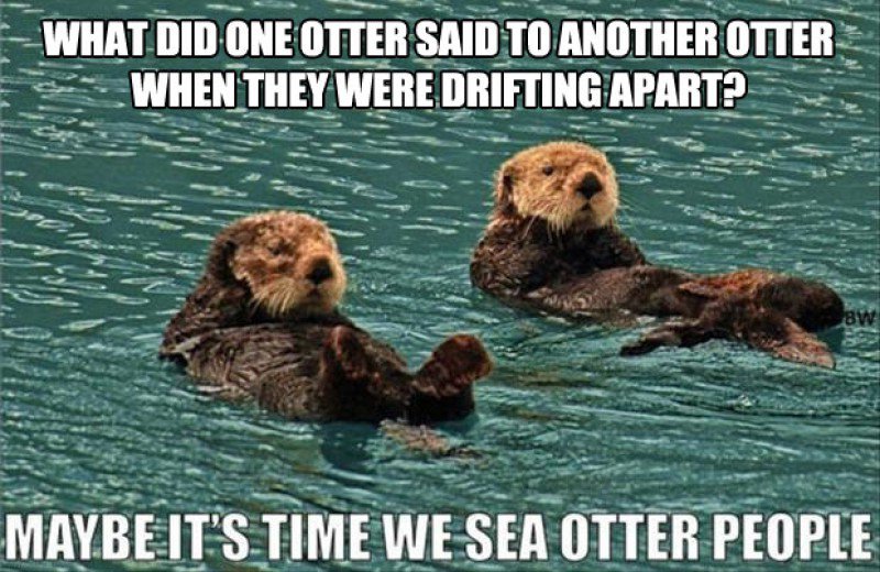 Name:  This-Funny-Sea-Otters-Joke0173681421471509383.JPG
Views: 12911
Size:  112.4 KB