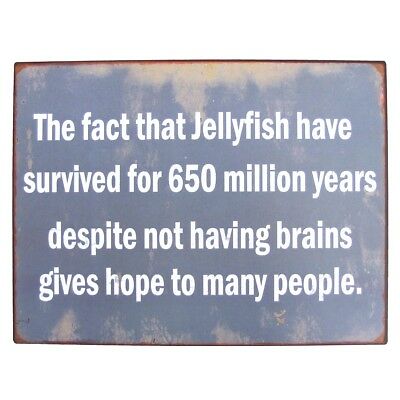 Name:  Funny-Jellyfish-Brains-Metal-Sign-Novelty-Coastal-Home.jpg
Views: 11814
Size:  24.0 KB
