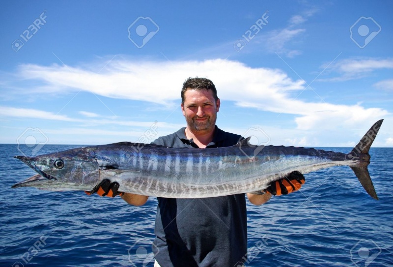 Name:  15972279-happy-fisherman-holding-a-beautiful-wahoo-fish.jpg
Views: 4527
Size:  151.2 KB