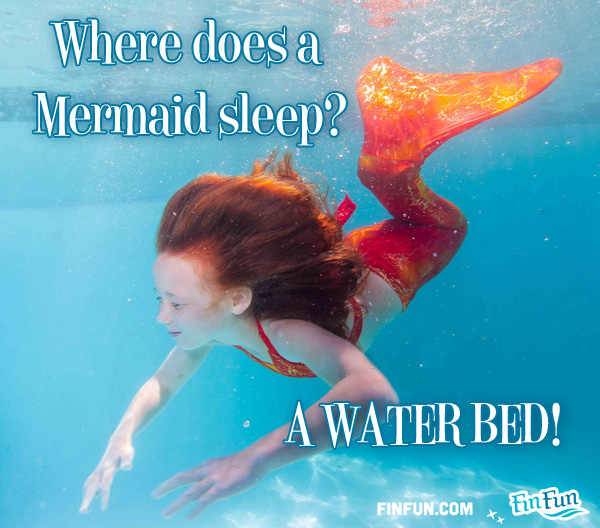 Name:  mermaid-jokes-waterbed1.jpg
Views: 13030
Size:  134.3 KB