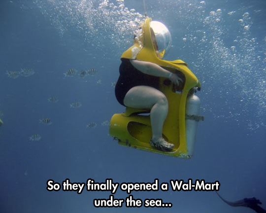 Name:  funny-fat-woman-ocean-diving.jpg
Views: 7238
Size:  34.8 KB