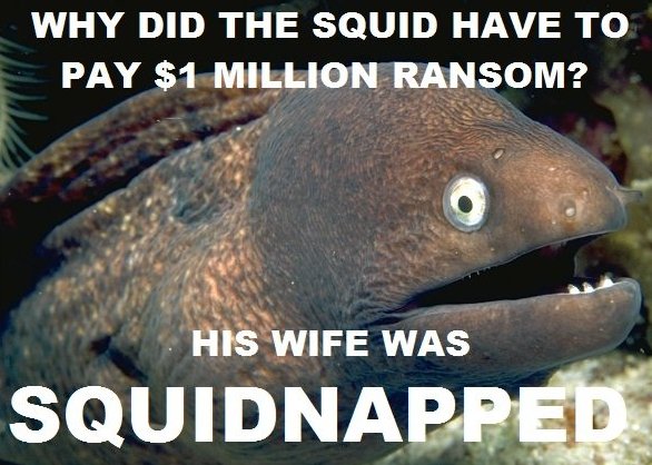 Name:  bad-joke-eel-squid.jpg
Views: 7974
Size:  64.3 KB