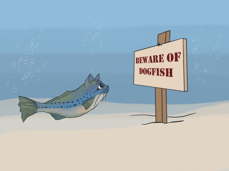 Name:  beware-of-dogfish.jpg
Views: 4613
Size:  62.1 KB