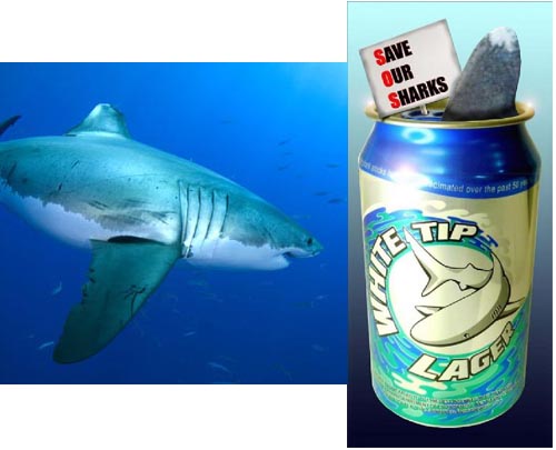 Name:  SharkBrew.jpg
Views: 9500
Size:  34.2 KB