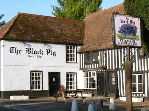 Name:  BlackPig.jpg
Views: 1407
Size:  68.2 KB