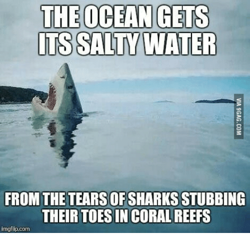 Name:  the-ocean-gets-its-salty-water-from-the-tears-of-14040217.png
Views: 1157
Size:  134.1 KB
