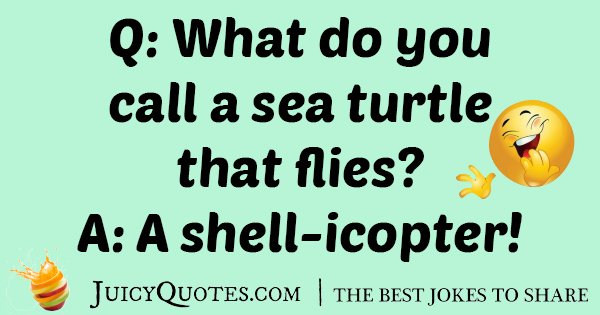 Name:  Turtle-Jokes-25.jpg
Views: 3163
Size:  41.6 KB