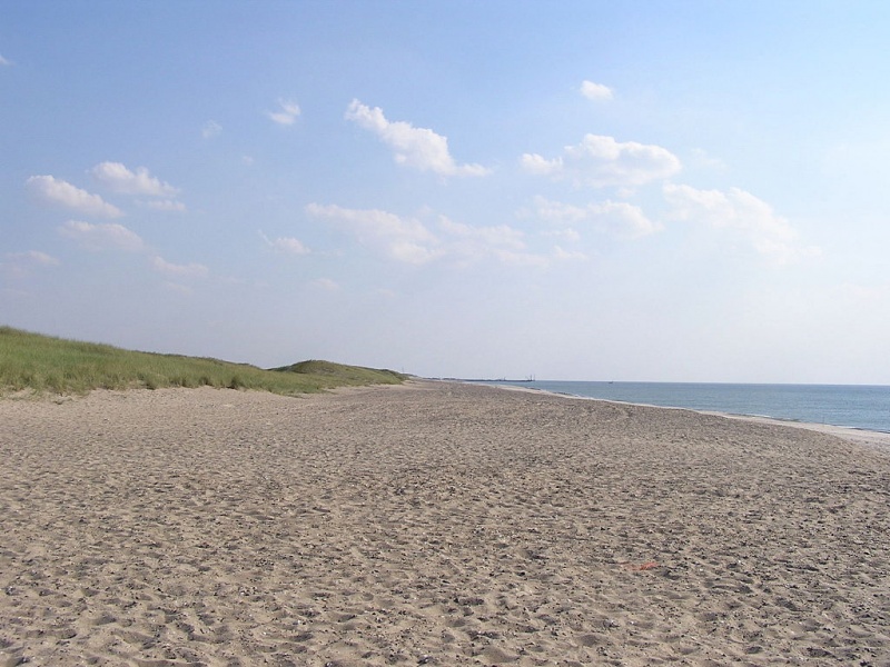 Name:  1024px-Thorsminde_Strand.jpg
Views: 2763
Size:  172.5 KB