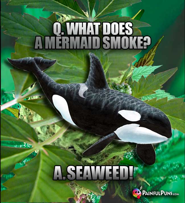 Name:  weed-mermaid.jpg
Views: 1704
Size:  62.8 KB