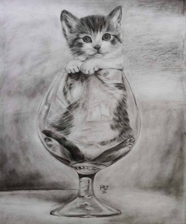 Name:  0001 Cat-in-Glass-Pencil-Drawing.jpg
Views: 186
Size:  41.3 KB