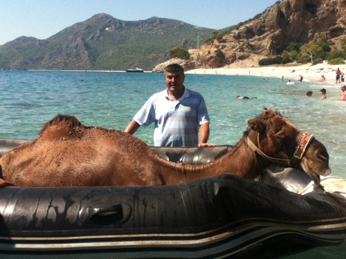 Name:  Camel_Boat_Landing.jpg
Views: 875
Size:  158.2 KB