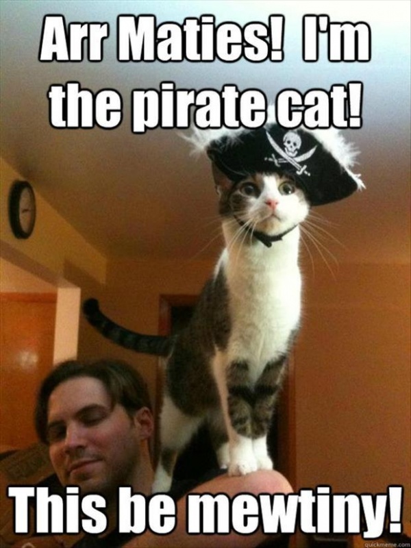 Name:  2-pirate-cat-funny-pictures1.jpg
Views: 11018
Size:  140.0 KB