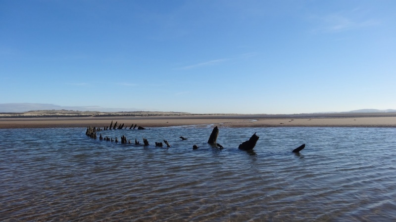 Name:  (20130302) - Aberlady Bay To Gullane Sands - 016.jpg
Views: 475
Size:  101.8 KB