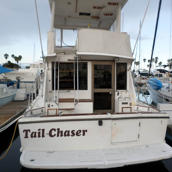 Name:  tail-chaser2.jpg
Views: 2216
Size:  50.0 KB