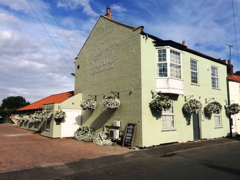 Name:  Seabirsd inn Flambrough..jpg
Views: 5208
Size:  181.7 KB