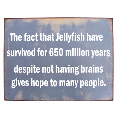 Name:  Funny-Jellyfish-Brains-Metal-Sign-Novelty-Coastal-Home.jpg
Views: 11452
Size:  24.0 KB