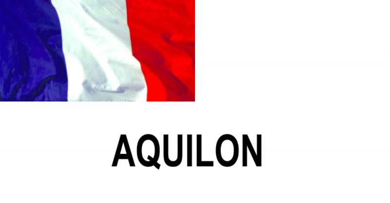 Name:  AQULION.jpg
Views: 884
Size:  43.4 KB