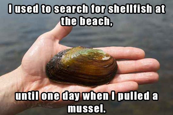 Name:  mollusc-and-sea-cucumber-joke.jpg
Views: 1966
Size:  40.4 KB