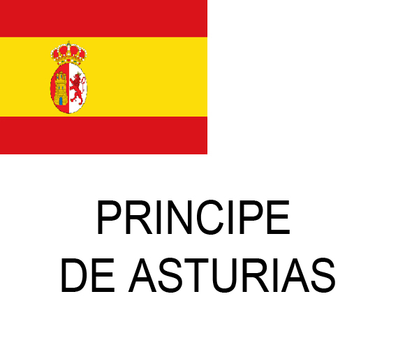 Name:  PRINCIPE DE ASTURIAS.jpg
Views: 358
Size:  85.2 KB