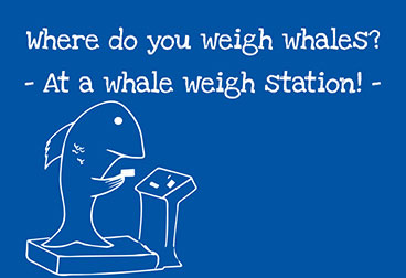 Name:  WeighWhales.jpg
Views: 1926
Size:  22.4 KB