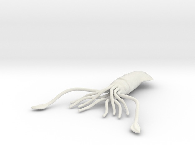 Name:  Kraken_Shapeways.jpg
Views: 399
Size:  16.6 KB