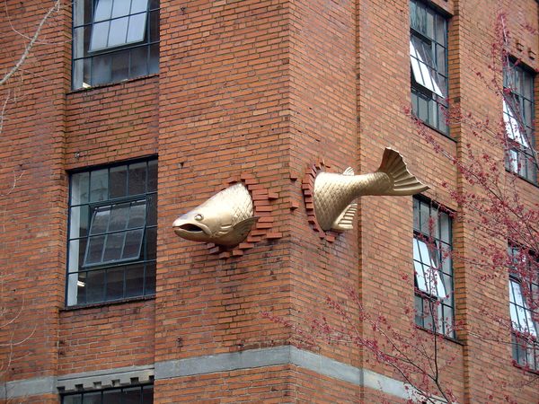 Name:  MaxPixel.freegreatpicture.com-Building-Salmon-Art-Bricks-Fish-Portland-274865.jpg
Views: 1922
Size:  84.4 KB