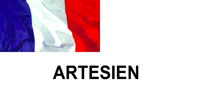 Name:  ARTESIEN.jpg
Views: 363
Size:  43.5 KB