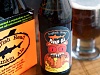 dogfish pumpkin